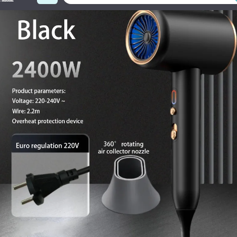 Professional Ionic Hair Dryer