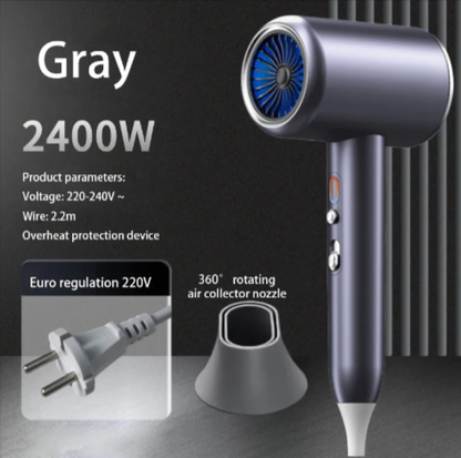 Professional Ionic Hair Dryer